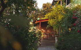 Jungal House